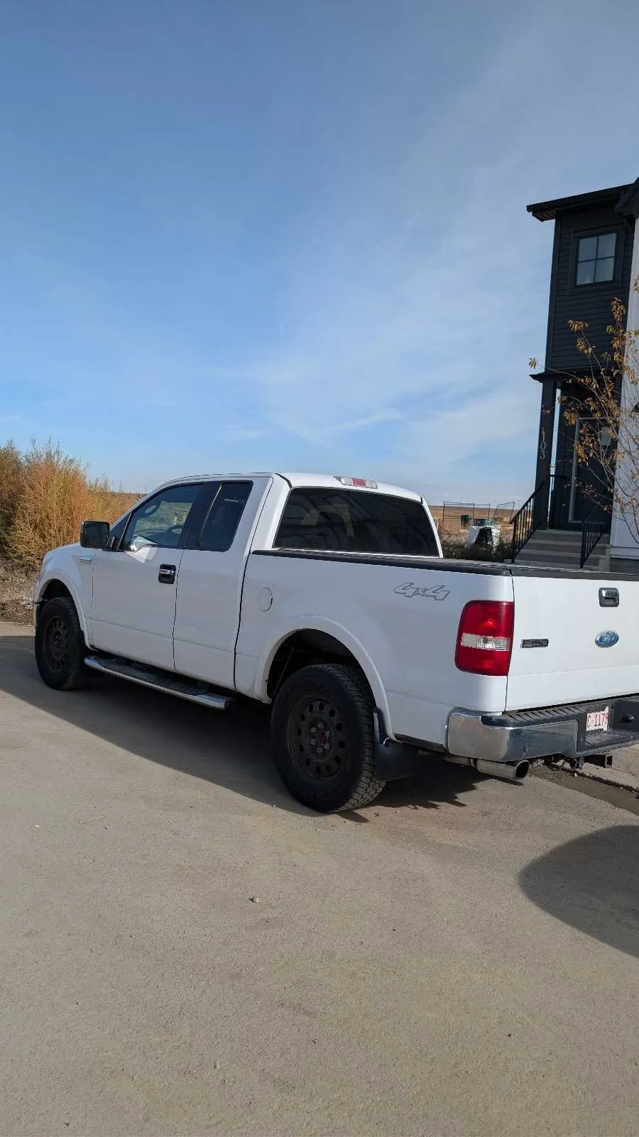Ford F-150 2006 photo 3