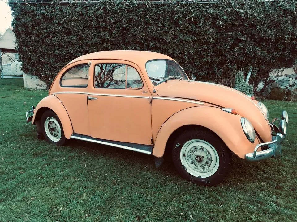 Volkswagen Käfer