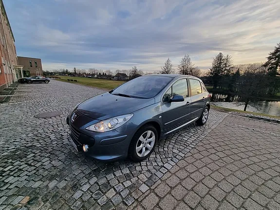 Peugeot 307 2005 photo 5