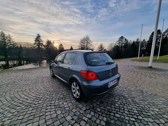 Peugeot 307 2005 photo 4