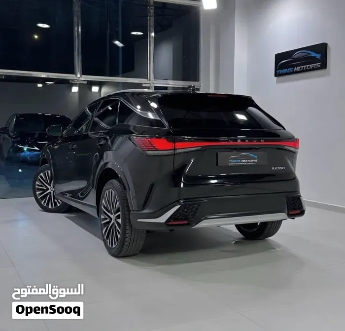 Lexus Rx 350 2024 photo 3