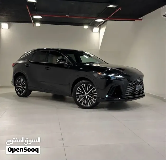 Lexus Rx 350 2024 photo 2