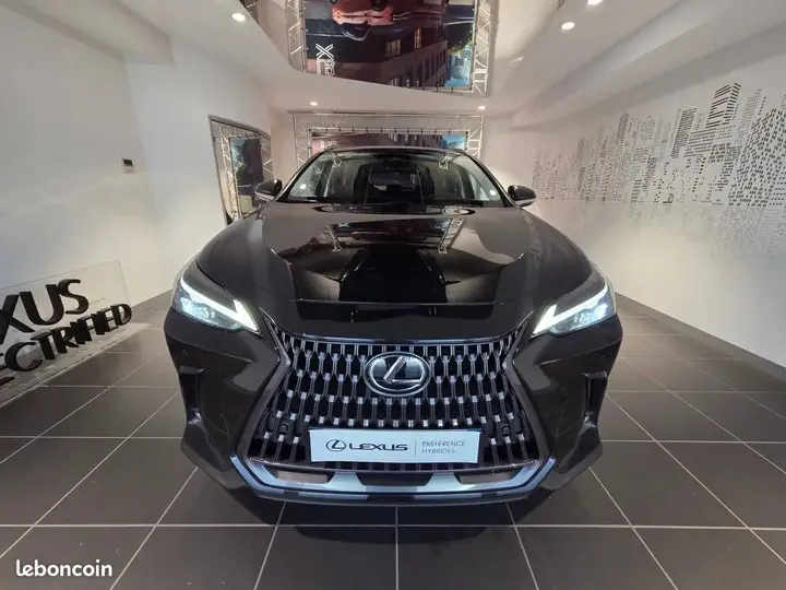 Lexus Nx 2024 photo 2