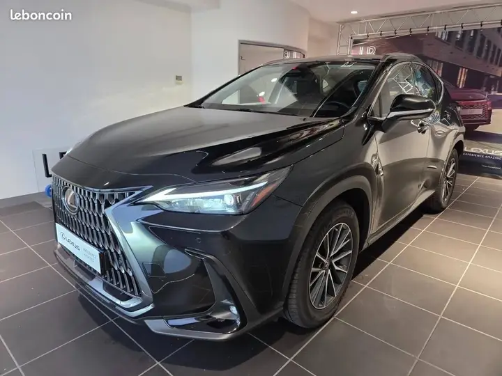 Lexus Nx 2024 photo 3