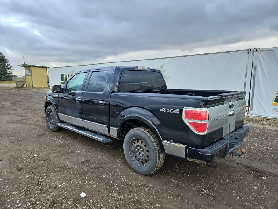 Ford F-150 2009 photo 2