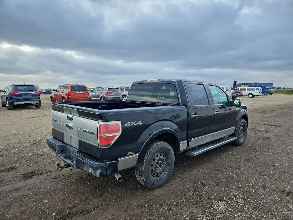 Ford F-150 2009 photo 3