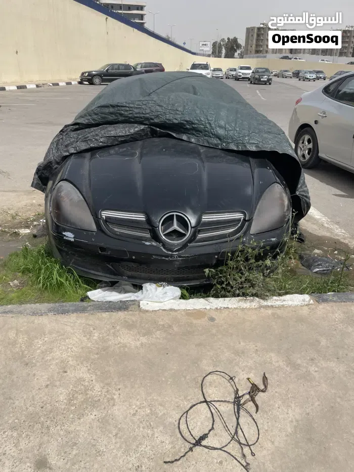 Mercedes-Benz Slk-Class 2010 photo 2