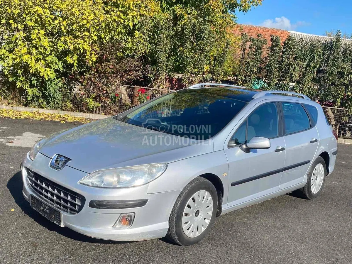 Peugeot 407 2005 photo 5