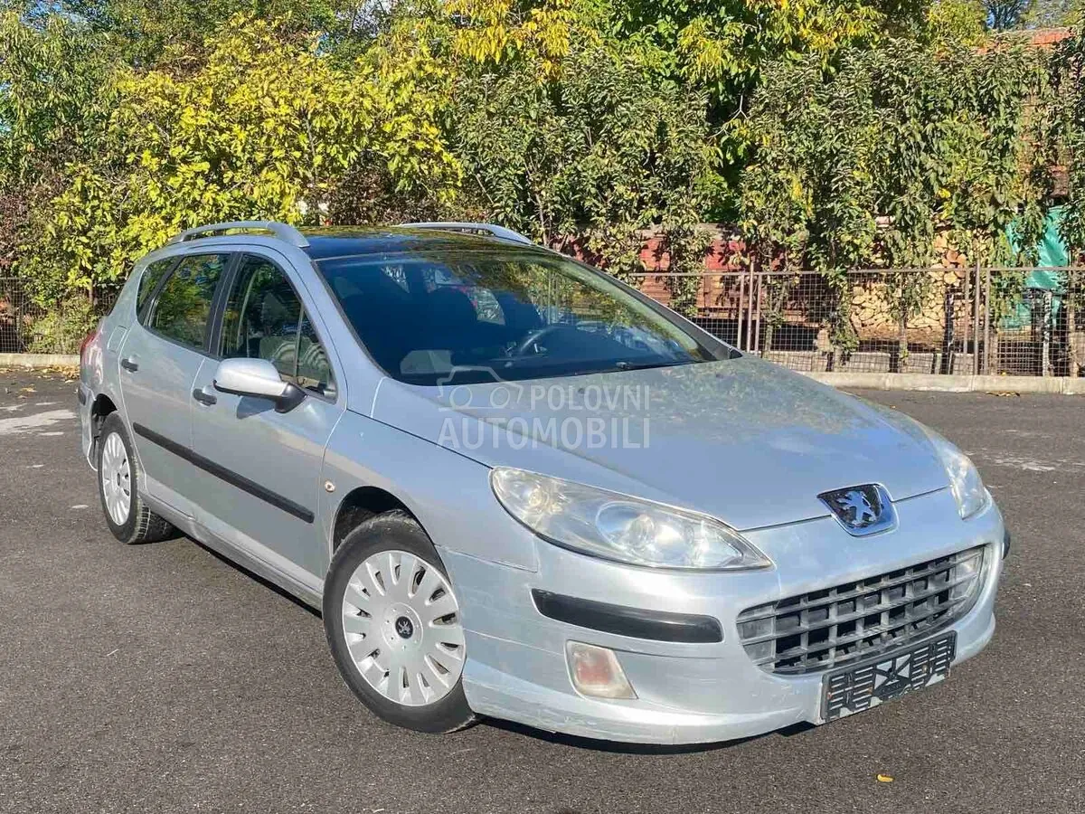 Peugeot 407 2005 photo 4
