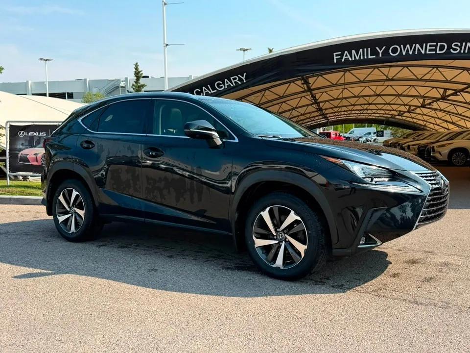 Lexus Nx 300 2018 photo 2