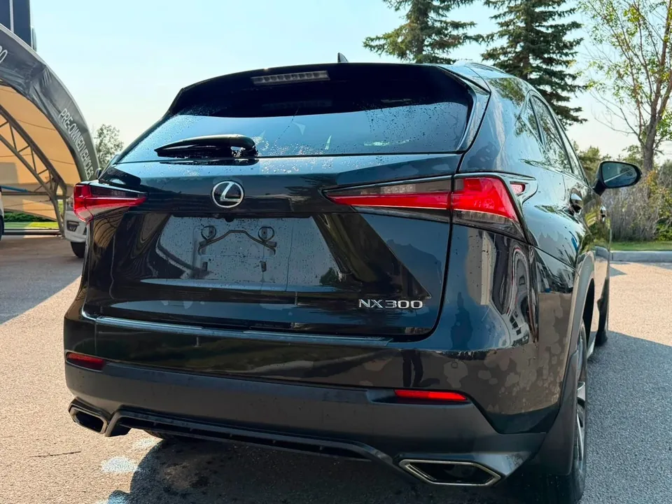 Lexus Nx 300 2018 photo 3