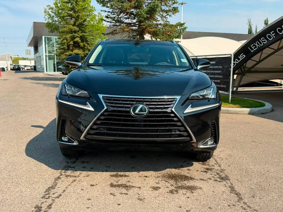 Lexus Nx 300 2018 photo 4