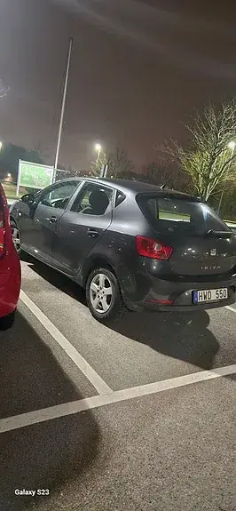 Seat Ibiza 2011 photo 2