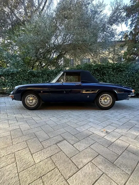 Alfa Romeo Duetto 1960 photo 2