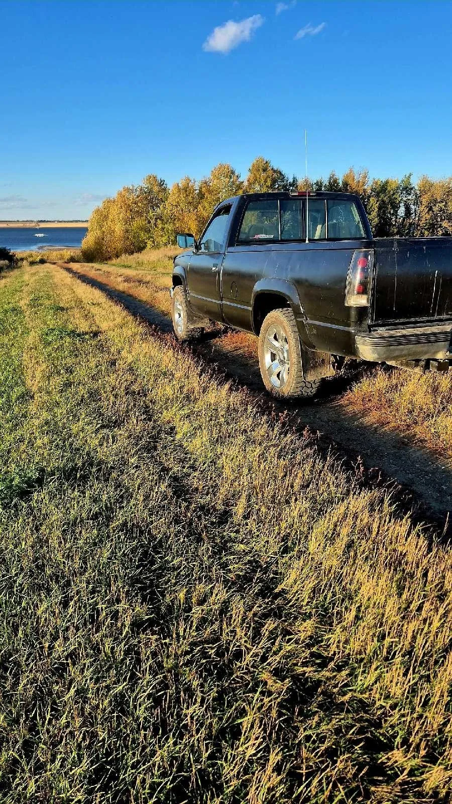 Chevrolet C/K Pickup 1500 1994 photo 2