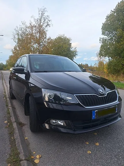 Skoda Fabia 2017 photo 2
