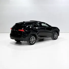 Lexus Nx 300H 2014 photo 3