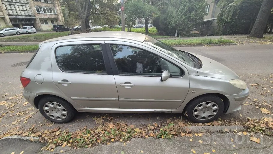 Peugeot 307 2007 photo 5