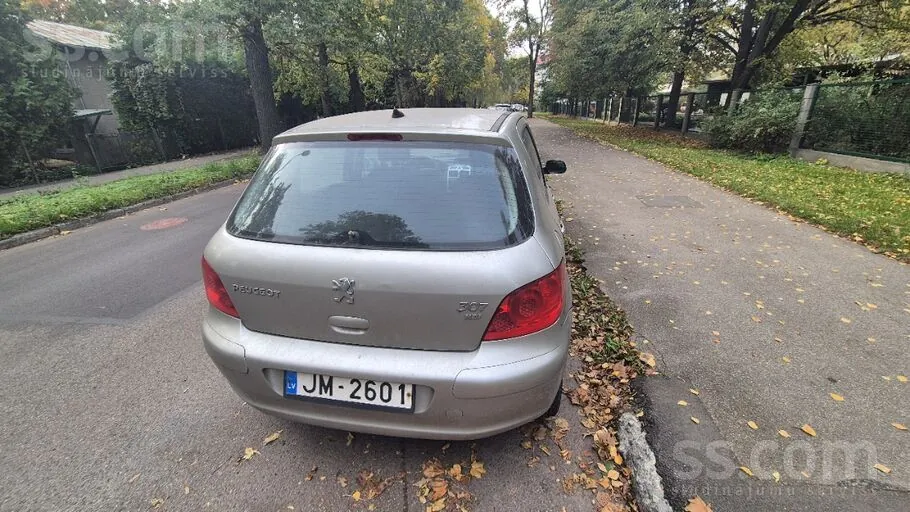 Peugeot 307 2007 photo 4