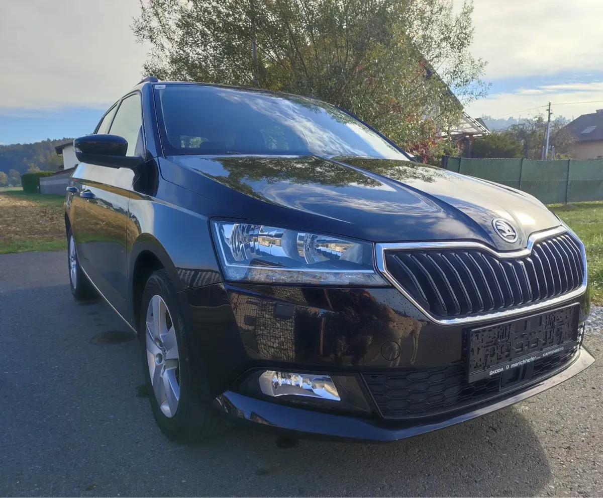 Skoda Fabia 2019 photo 2