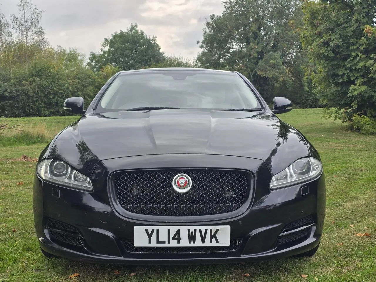 Jaguar Xj 2014 photo 2