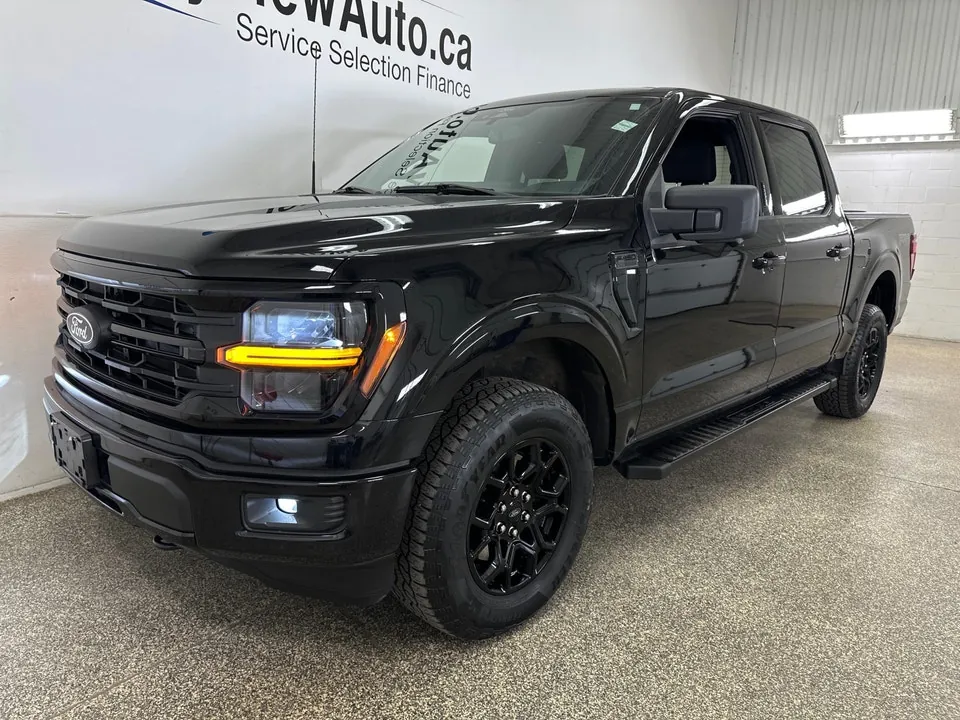 Ford F-150 2024 photo 3