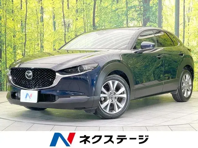 Mitsubishi Cx-30