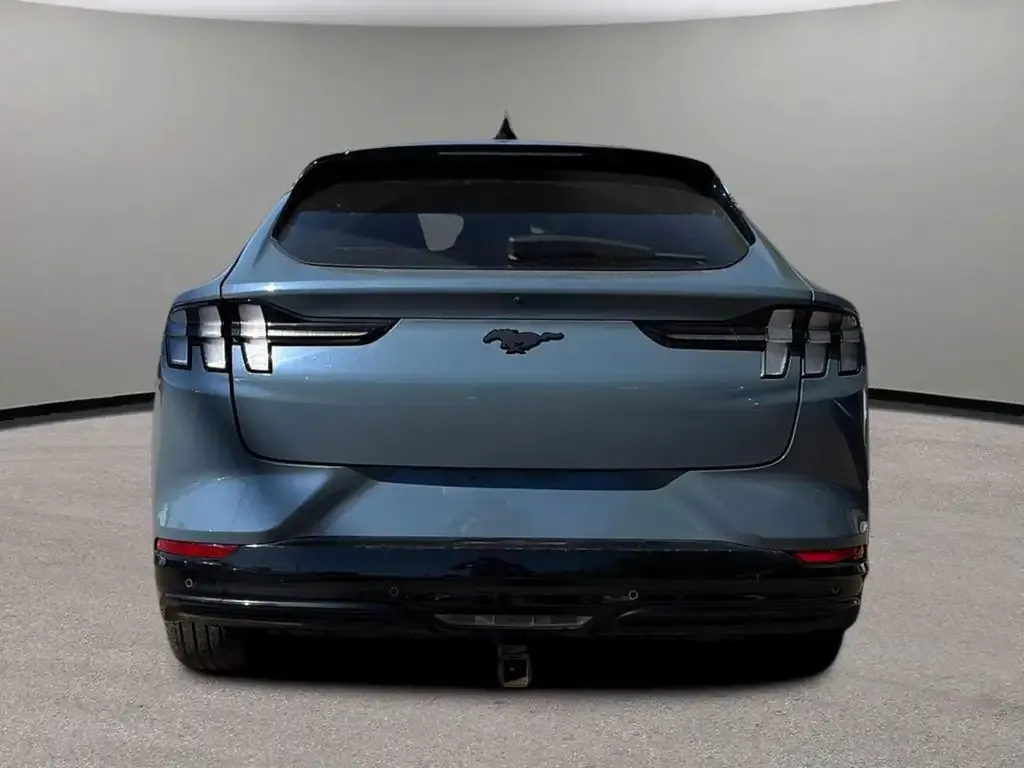 Ford Mustang Mach-E 2023 photo 5