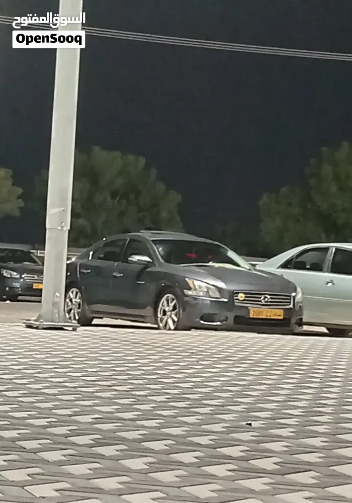 Nissan Maxima 2010 photo 2