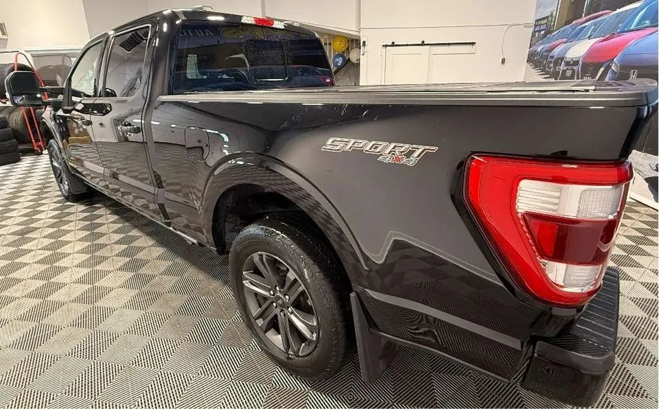 Ford F-150 2023 photo 3