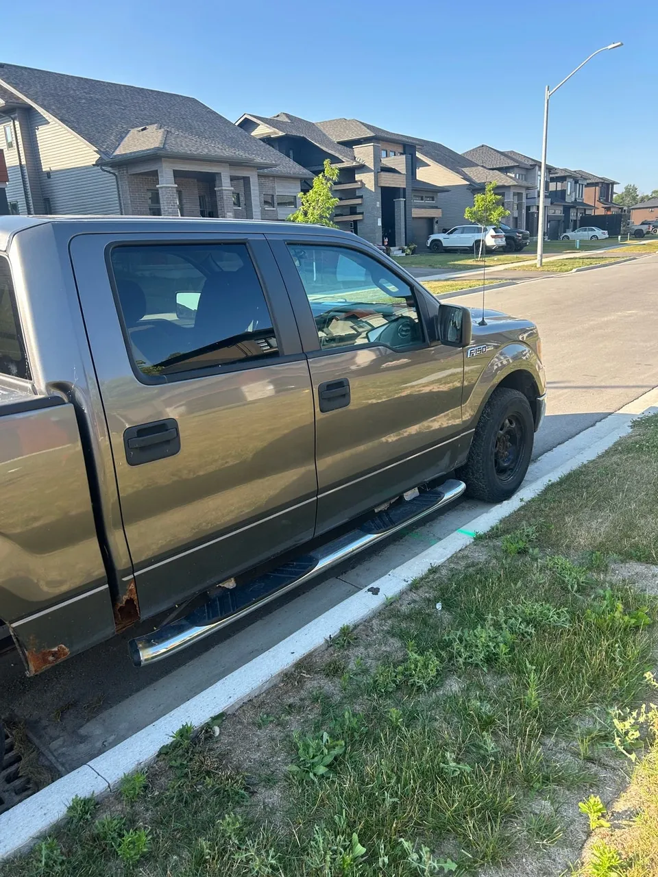 Ford F-150 2010 photo 2