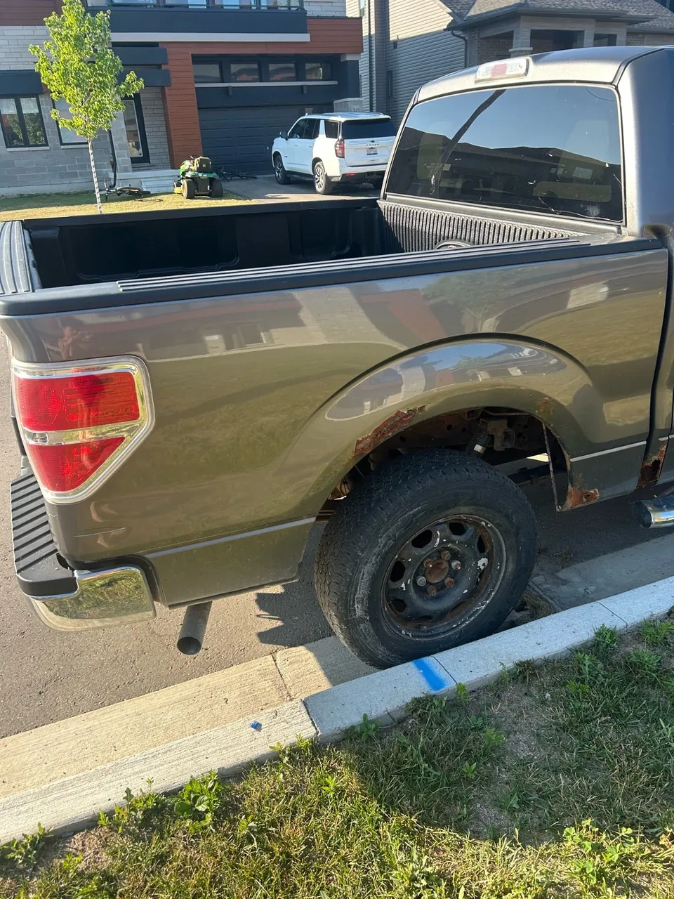 Ford F-150 2010 photo 3