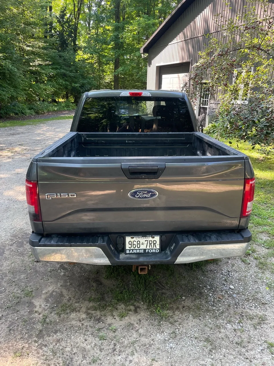 Ford F-150 2017 photo 4