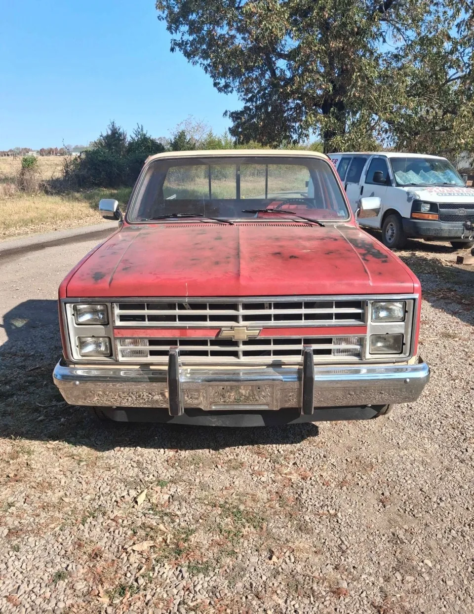 Chevrolet C10 1987 photo 2