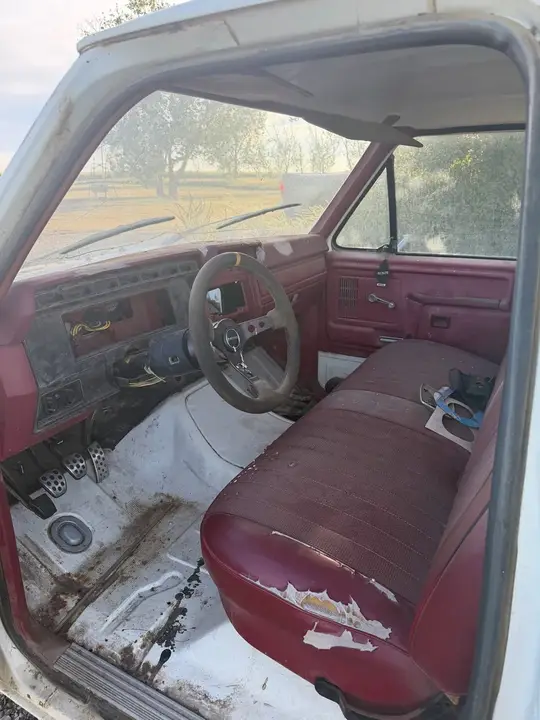Ford F-100 1982 photo 5
