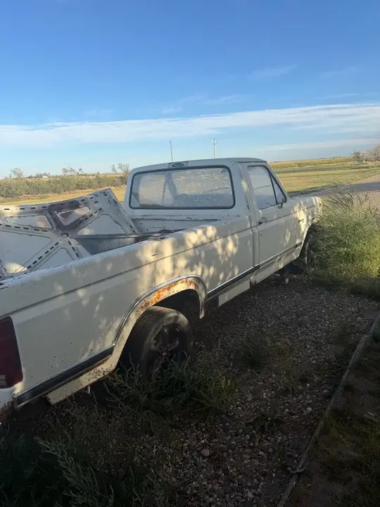 Ford F-100 1982 photo 4