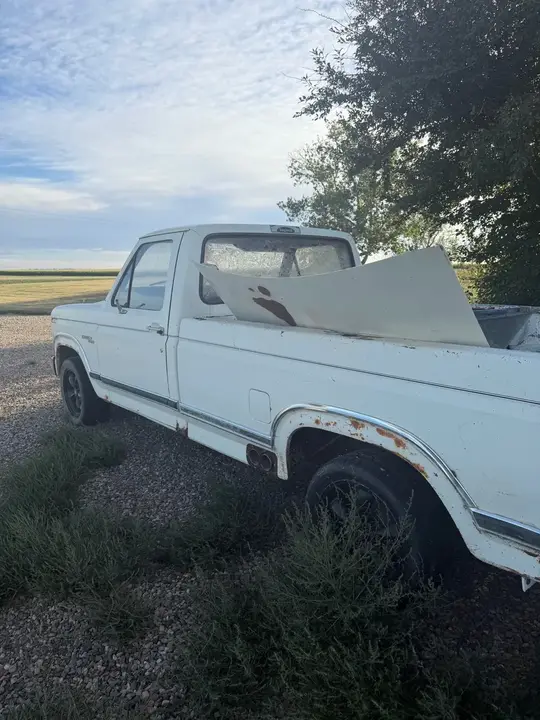 Ford F-100 1982 photo 2
