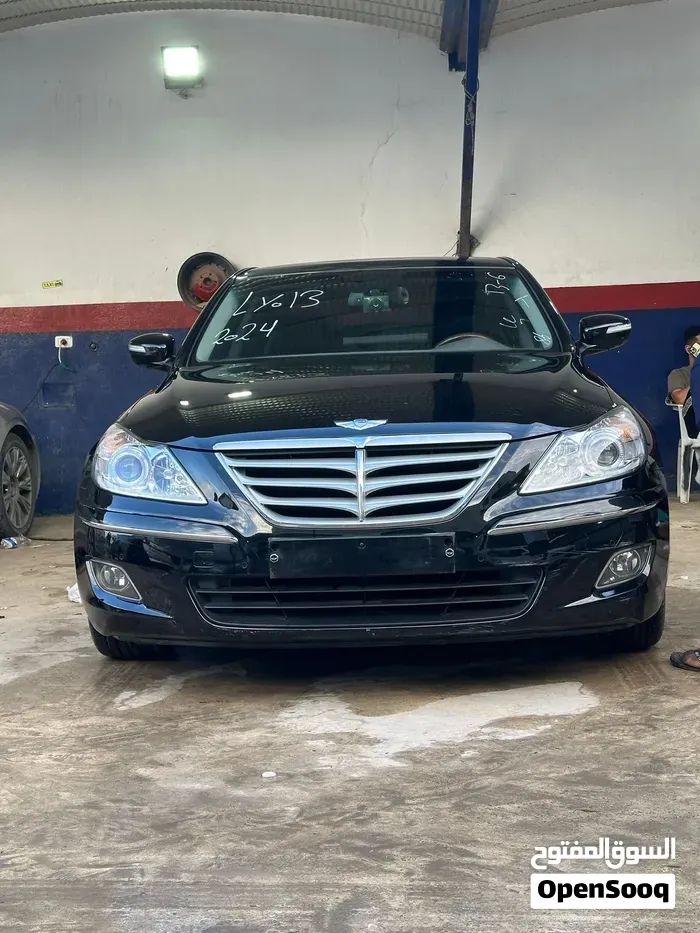 Genesis Sonata 2010 photo 3