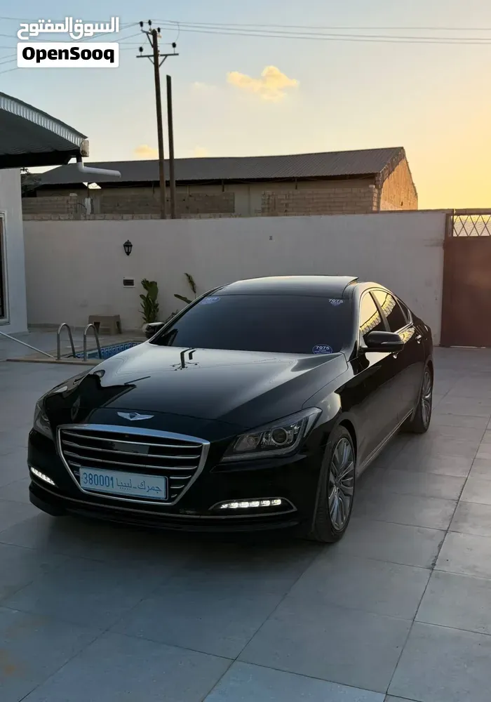 Genesis Sonata 2010 photo 5
