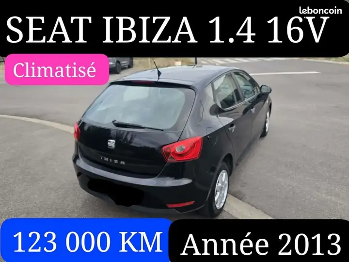Seat Ibiza 2013 photo 3