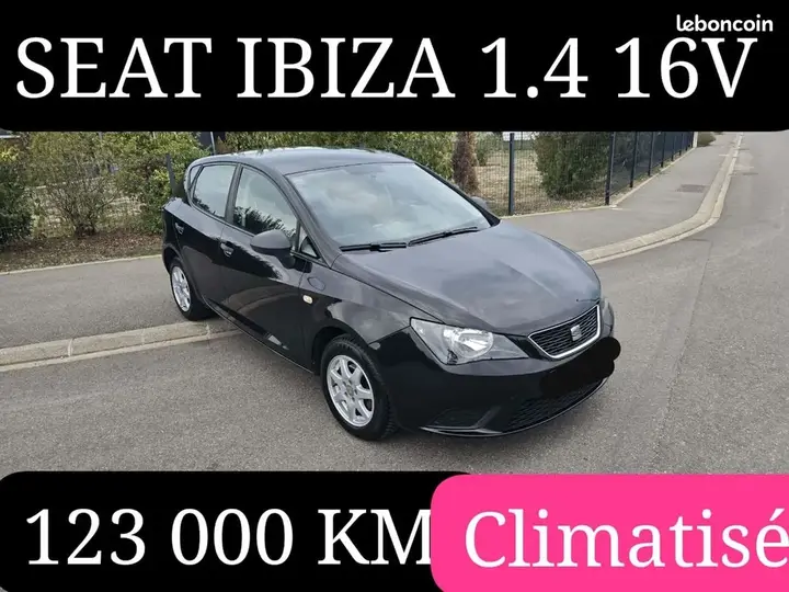 Seat Ibiza