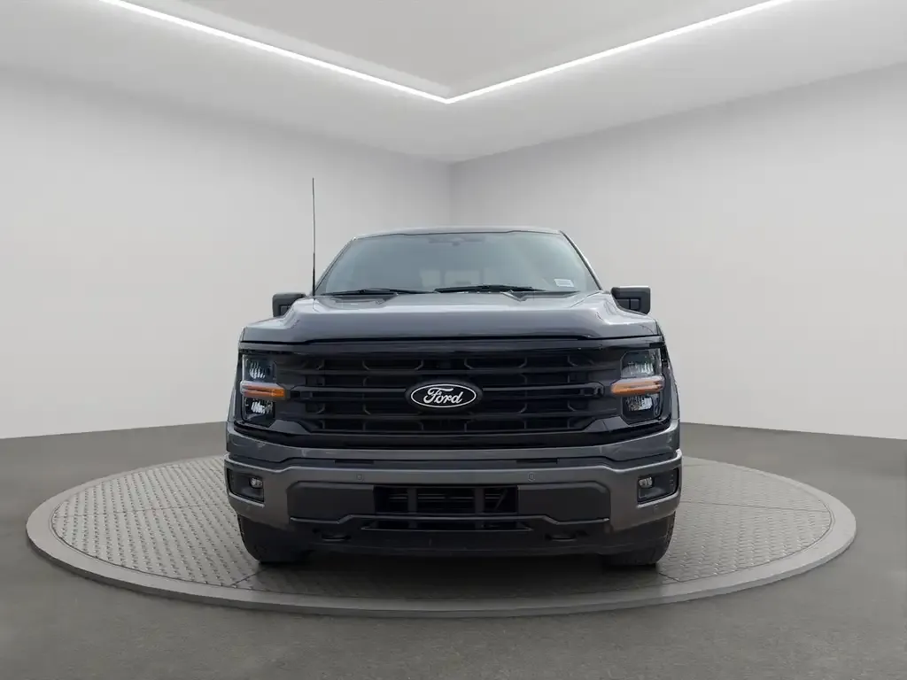 Ford F-150 2025 photo 2