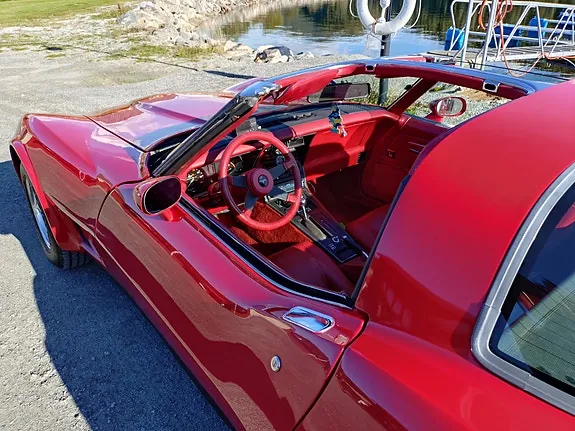 Chevrolet Corvette 1981 photo 3