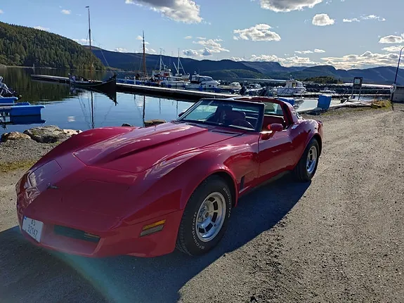 Chevrolet Corvette 1981 photo 2