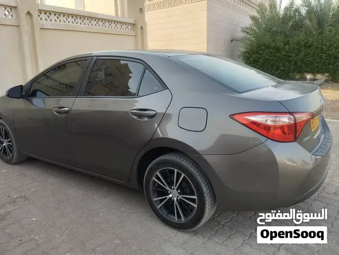 Toyota Corolla 2019 photo 2