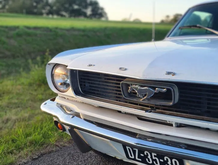 Ford Mustang 1966 photo 3