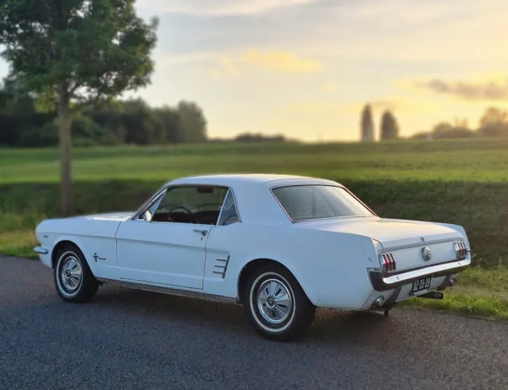 Ford Mustang 1966 photo 2