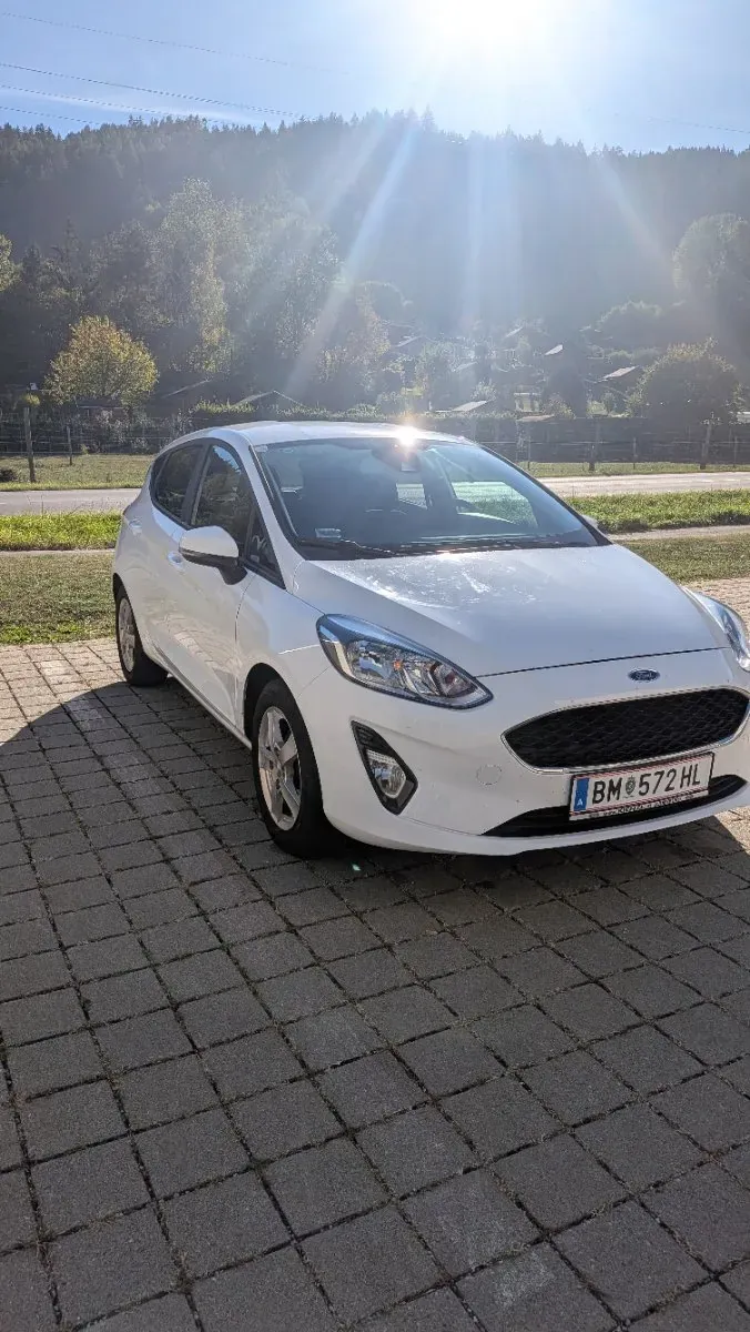 Ford Fiesta 2017 photo 2