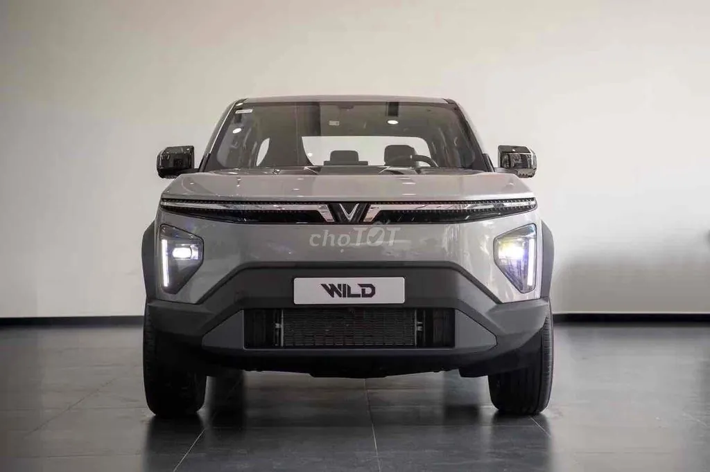 Vinfast Vf Wild