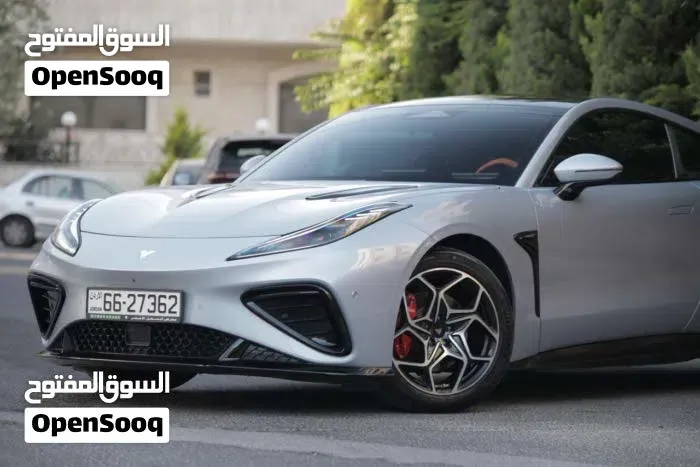 Neta Gt